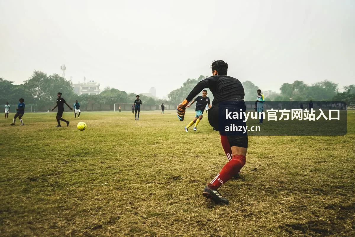 kaiyun官方网站入口 游戏平台界面展示