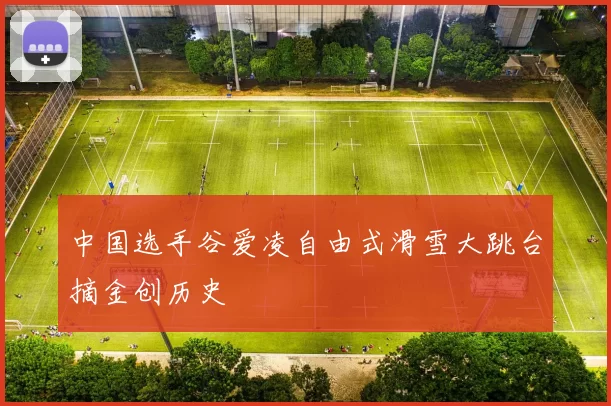中国选手谷爱凌自由式滑雪大跳台摘金创历史